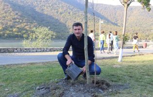 მოსიძეობა ყვარელი მოსიძეობა ყვარელი