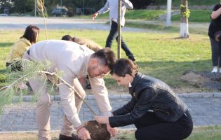 მოსიძეობა ყვარელი მოსიძეობა ყვარელი