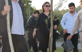 მოსიძეობა ყვარელი მოსიძეობა ყვარელი