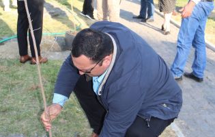 მოსიძეობა ყვარელი მოსიძეობა ყვარელი