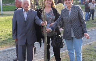 მოსიძეობა ყვარელი მოსიძეობა ყვარელი