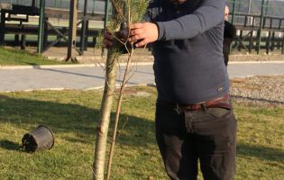 მოსიძეობა ყვარელი მოსიძეობა ყვარელი