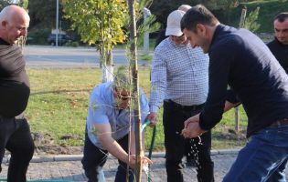 მოსიძეობა ყვარელი მოსიძეობა ყვარელი