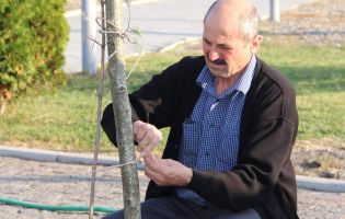 მოსიძეობა ყვარელი მოსიძეობა ყვარელი